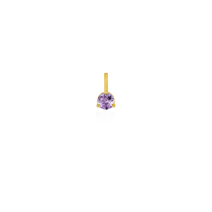 10K Yellow Gold Birthstone Necklace - February