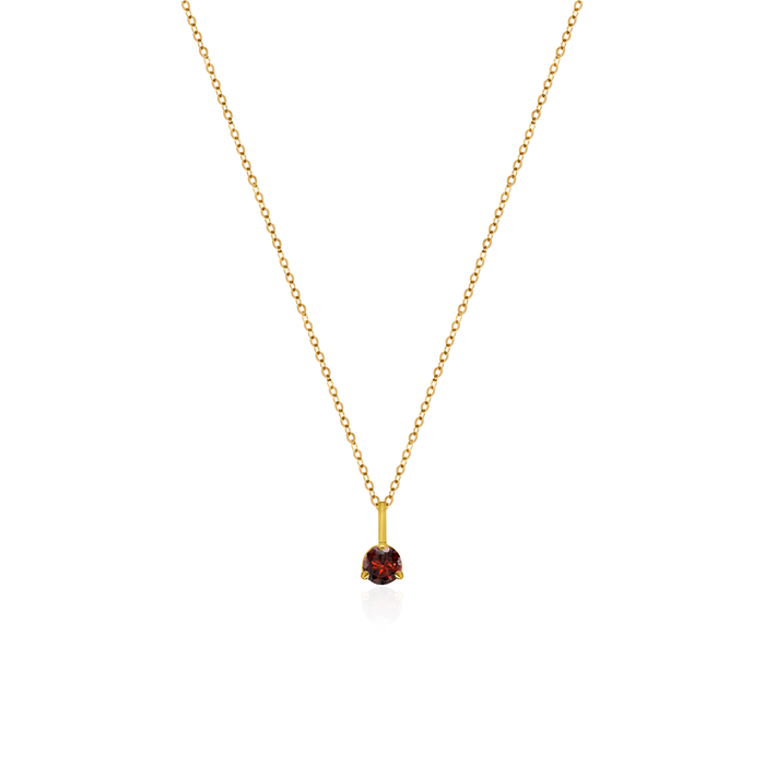 10K Yellow Gold Birthstone Necklace - January