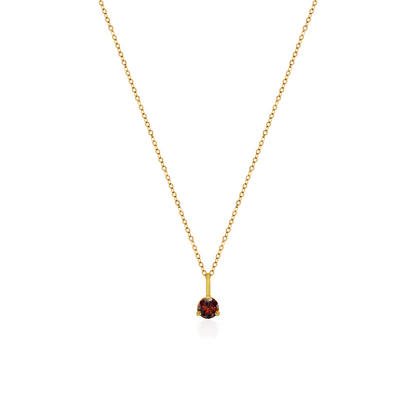 10K Yellow Gold Birthstone Necklace - January