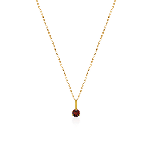 10K Yellow Gold Birthstone Necklace - January