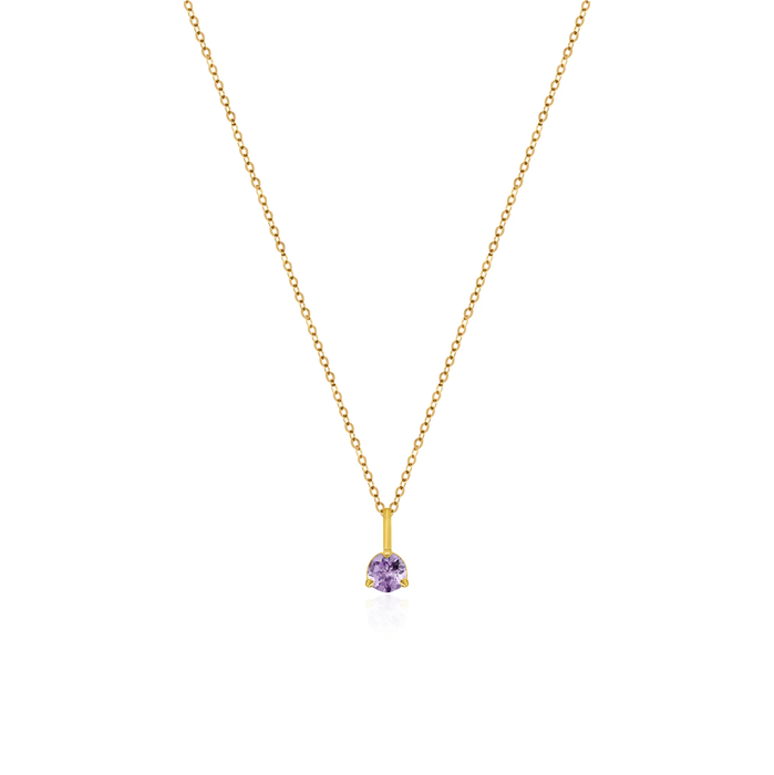 10K Yellow Gold Birthstone Necklace - February