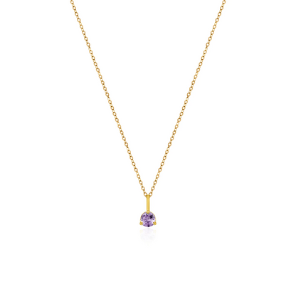 10K Yellow Gold Birthstone Necklace - February