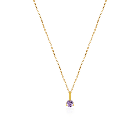 10K Yellow Gold Birthstone Necklace - February