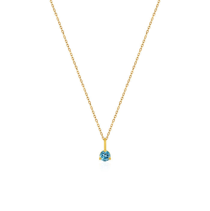 10K Yellow Gold Birthstone Necklace - December